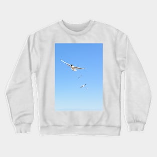 Flock of seagulls flying in the blue sky Crewneck Sweatshirt